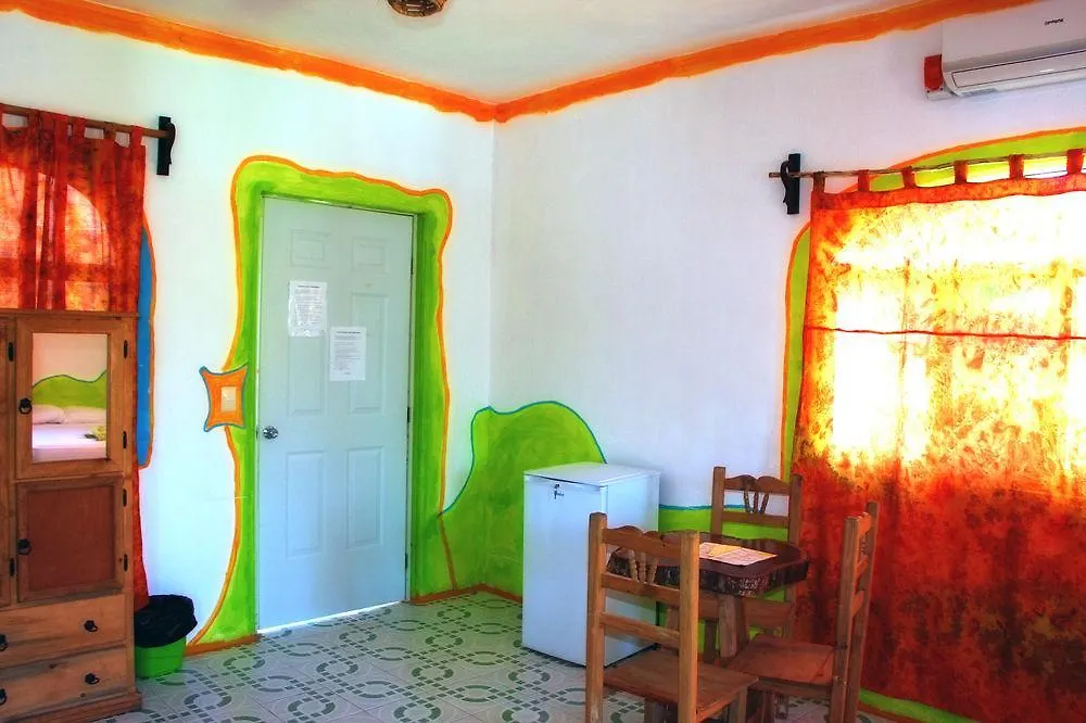 ***  Adventure Experience Hotel Playa del Carmen Meksika